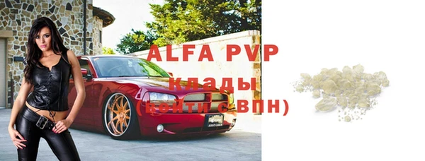 гидра Володарск