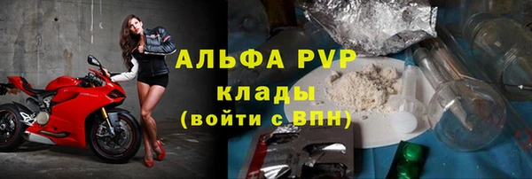 гидра Володарск