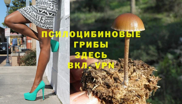 гидра Володарск