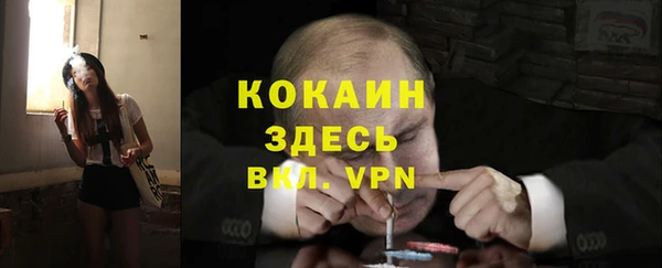 гидра Володарск