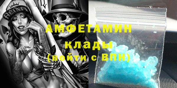гидра Володарск