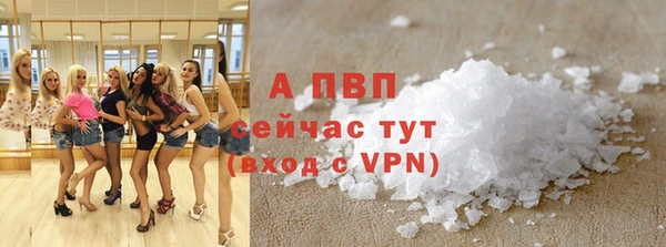 гидра Володарск